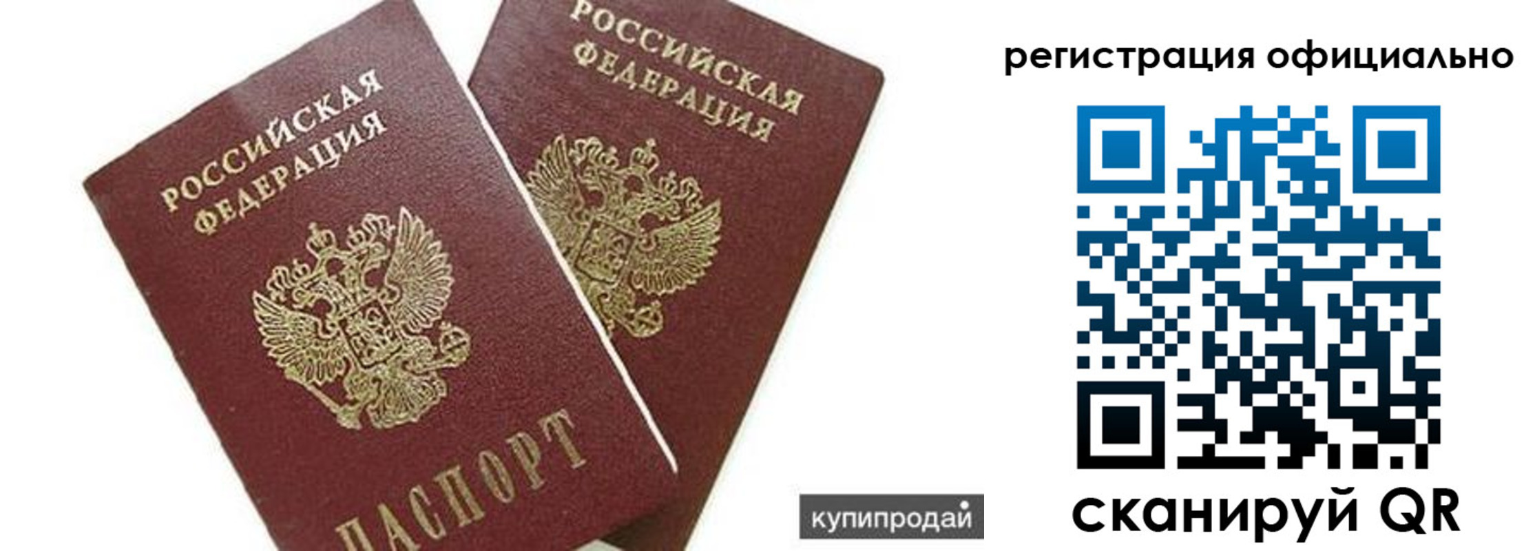 прописка гарантия в Владимире